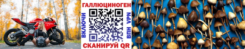 Псилоцибиновые грибы мухоморы  Шали 
